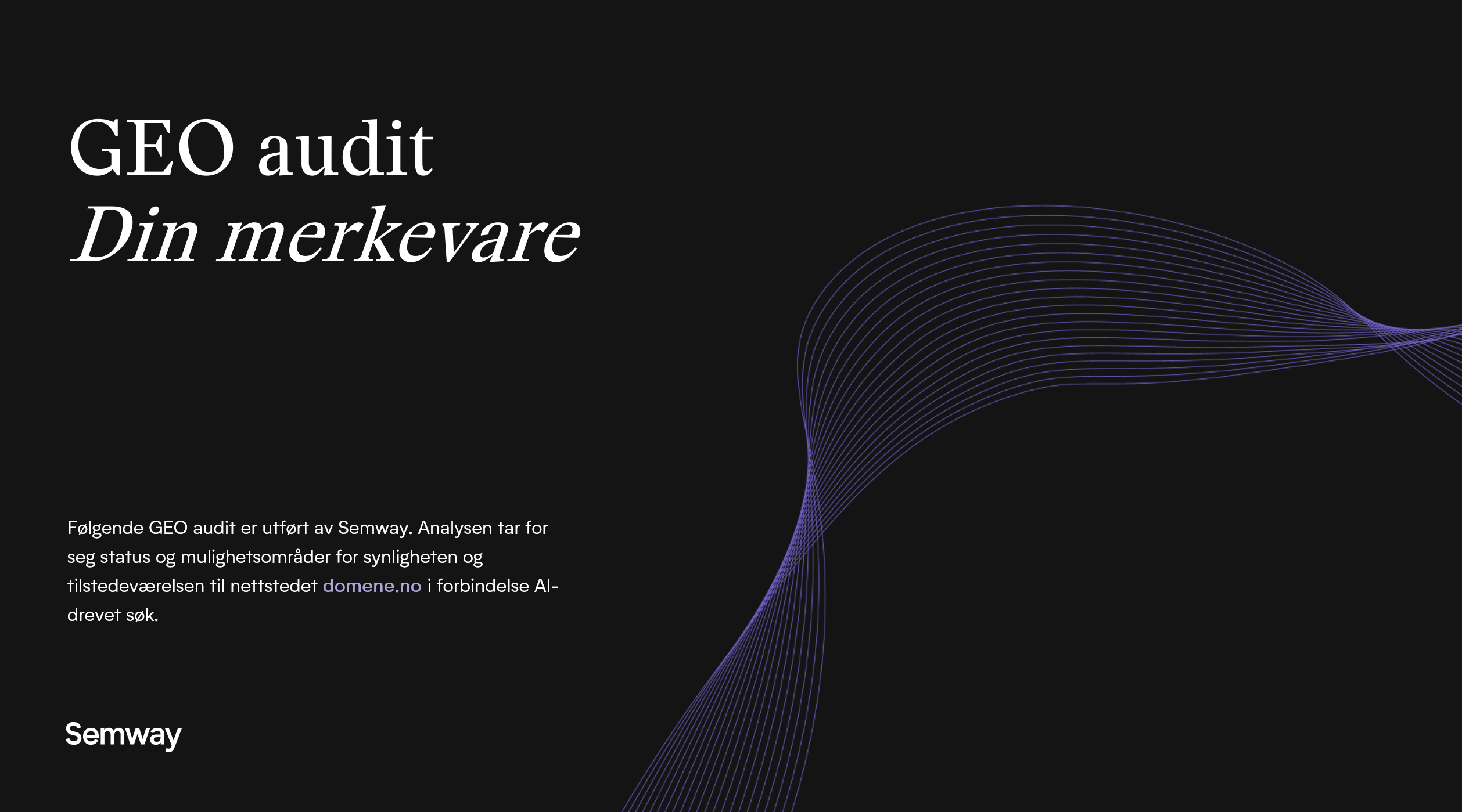Skjermbilde GEO Audit Forside